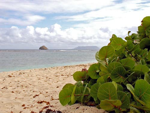 Guadeloupe