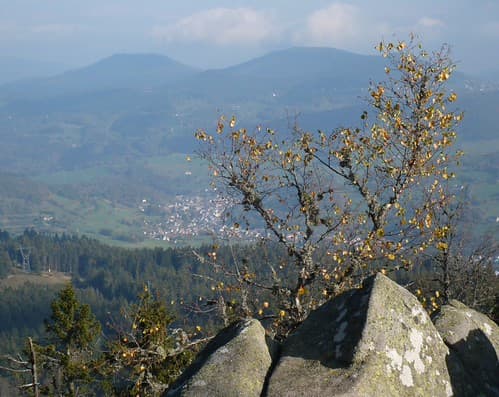 View from Observatoire Belmont