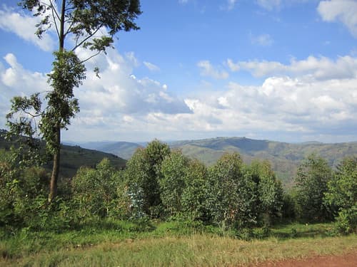 Road From Kigali to Musanze