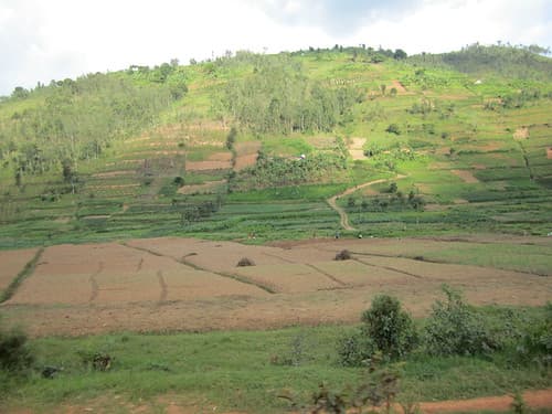 Road From Kigali to Musanze