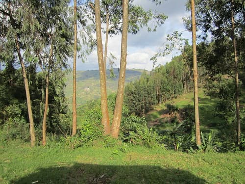 Road From Kigali to Musanze