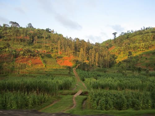 Road From Kigali to Musanze