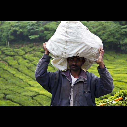 Heavy load