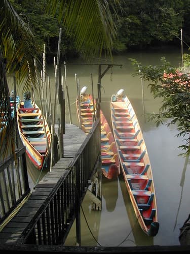 Guyane (5)