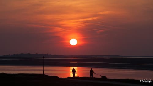 Baie de Somme - France