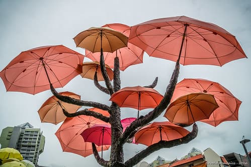 _DSC4737_Bali_09_16
