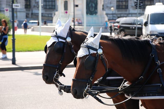 Vienne Impériale