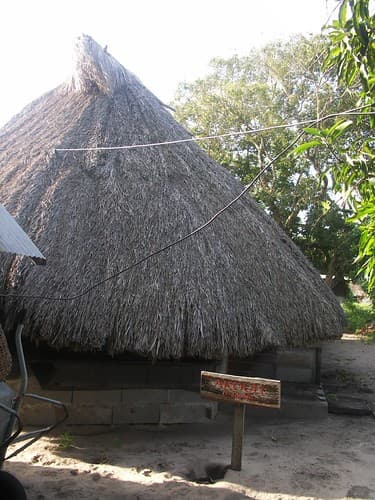 Guyane (4)