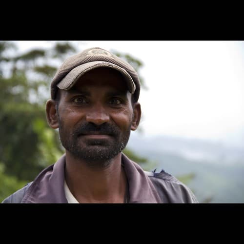 Tea worker