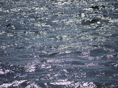 The sea, Flamingo, Costa Rica