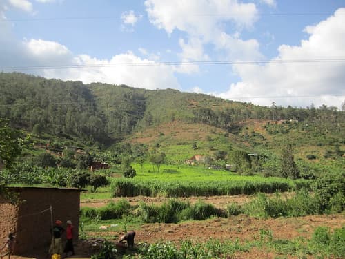 Road From Kigali to Musanze