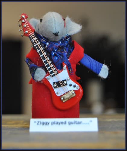 Ziggy..