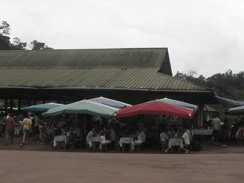 Guyane (6)