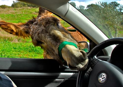 OK, let me drive...