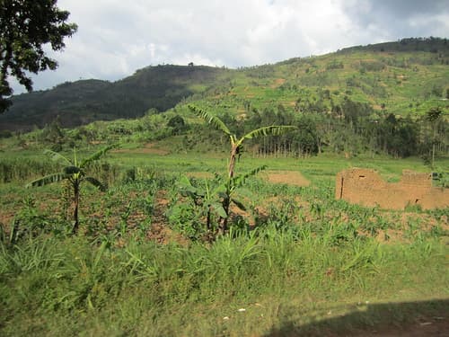 Road From Kigali to Musanze