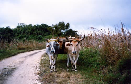 Mexique, Chiapas