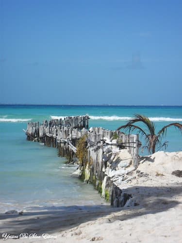 Isla Mujeres, Cancùn, Mexique