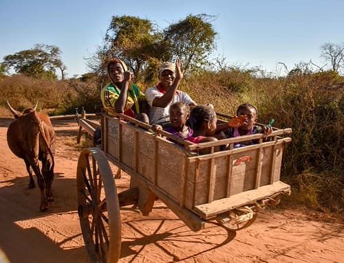 Slow and Easy, Madagascar