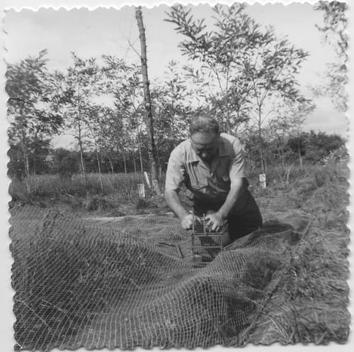 1962 - Etienne, chasse à l'Ortolan