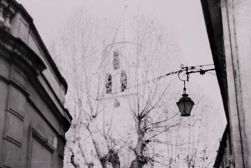 avignon