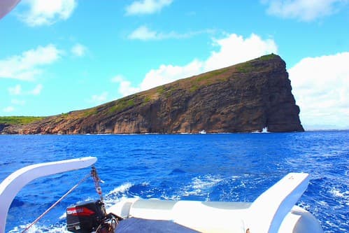 IMG_9358/Ile Maurice/North Island/Ilot Coin de Mire/Gunner's Quoin/