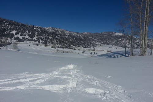 Cross-Country Skiing - Snowmass Golf Course