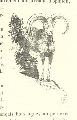 Image taken from page 189 of 'La Chasse au mouflon, ou petit voyage philosophique en Corse. Avec quarante-trois gravures, etc'