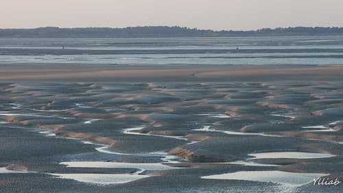 Baie de Somme