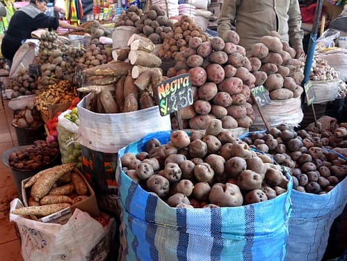 Arequipa (Pérou)