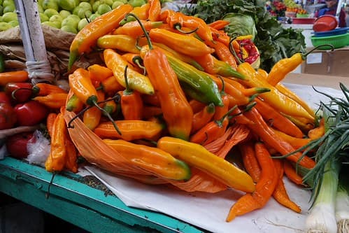 Arequipa (Pérou)