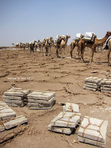 eth_danakil_salt packs