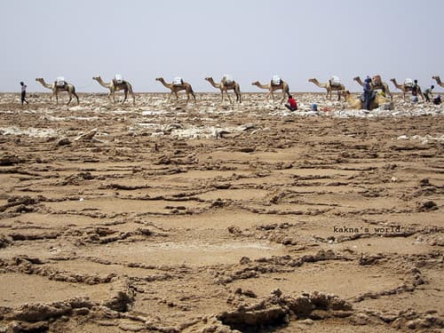 eth_danakil_caravane