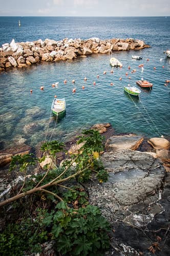 Barques à Cinque Terre