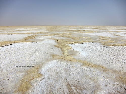 eth_danakil_salt realm