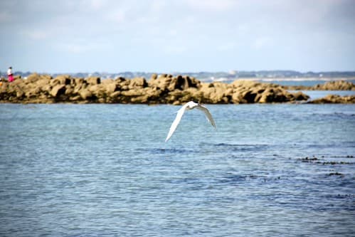 Baie de Quiberon
