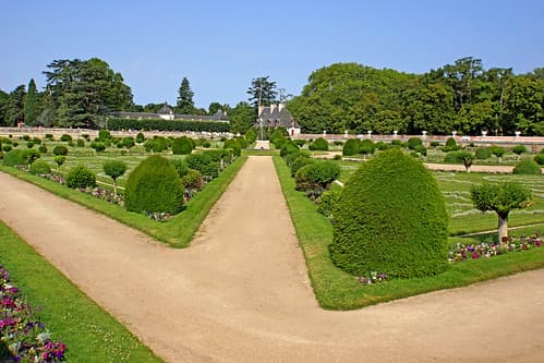 France-001648 - Diane's Garden