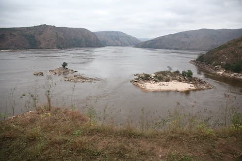 Baobab islands on Congo river