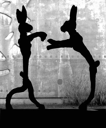 "Te boxing ones", Barry Flanagan. Lam, Villeneuve-d'Ascq.