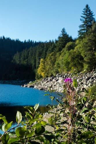Lac Blanc - Orbey