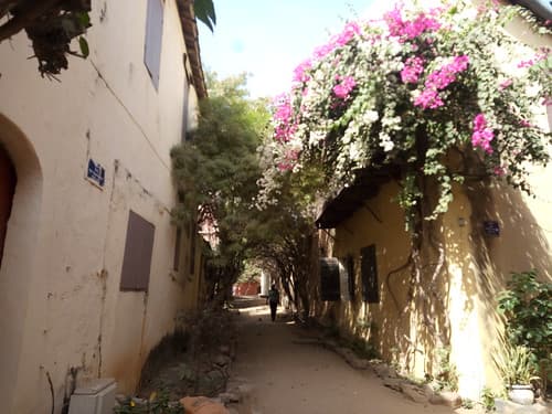 Ile de Goree