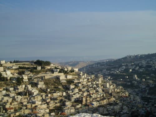 P1110019