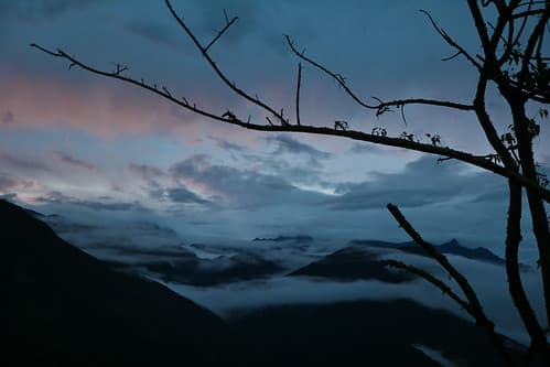 Coroico