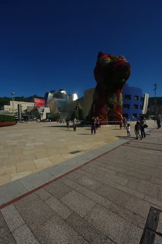 Guggenheim Museum - Bilbao, Spain