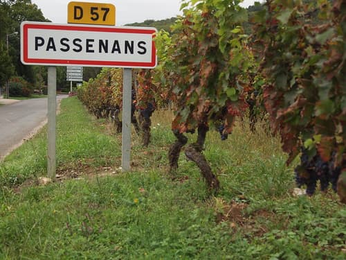 Llegando a Passenans