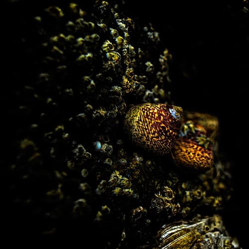 journée a la mer France — photo de daniel.stark