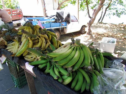Quepos Farmers Market - Costa Rica travel