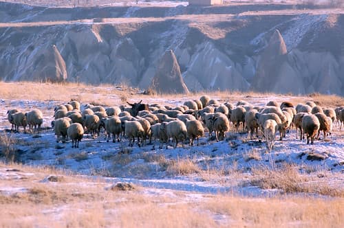 Cappadocia