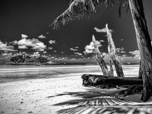beach