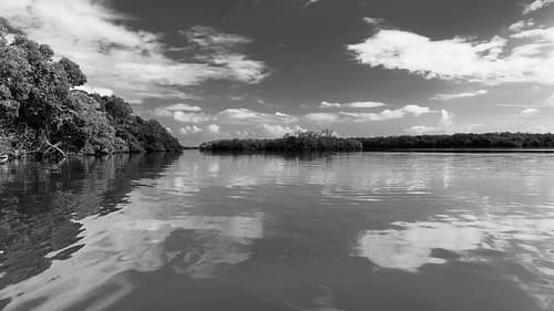 Guaimoreto Lagoon - Trujillo, Houndras