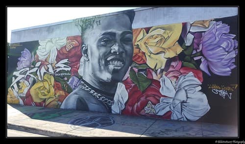 Wynwood- Miami- Floride- Etats-Unis.